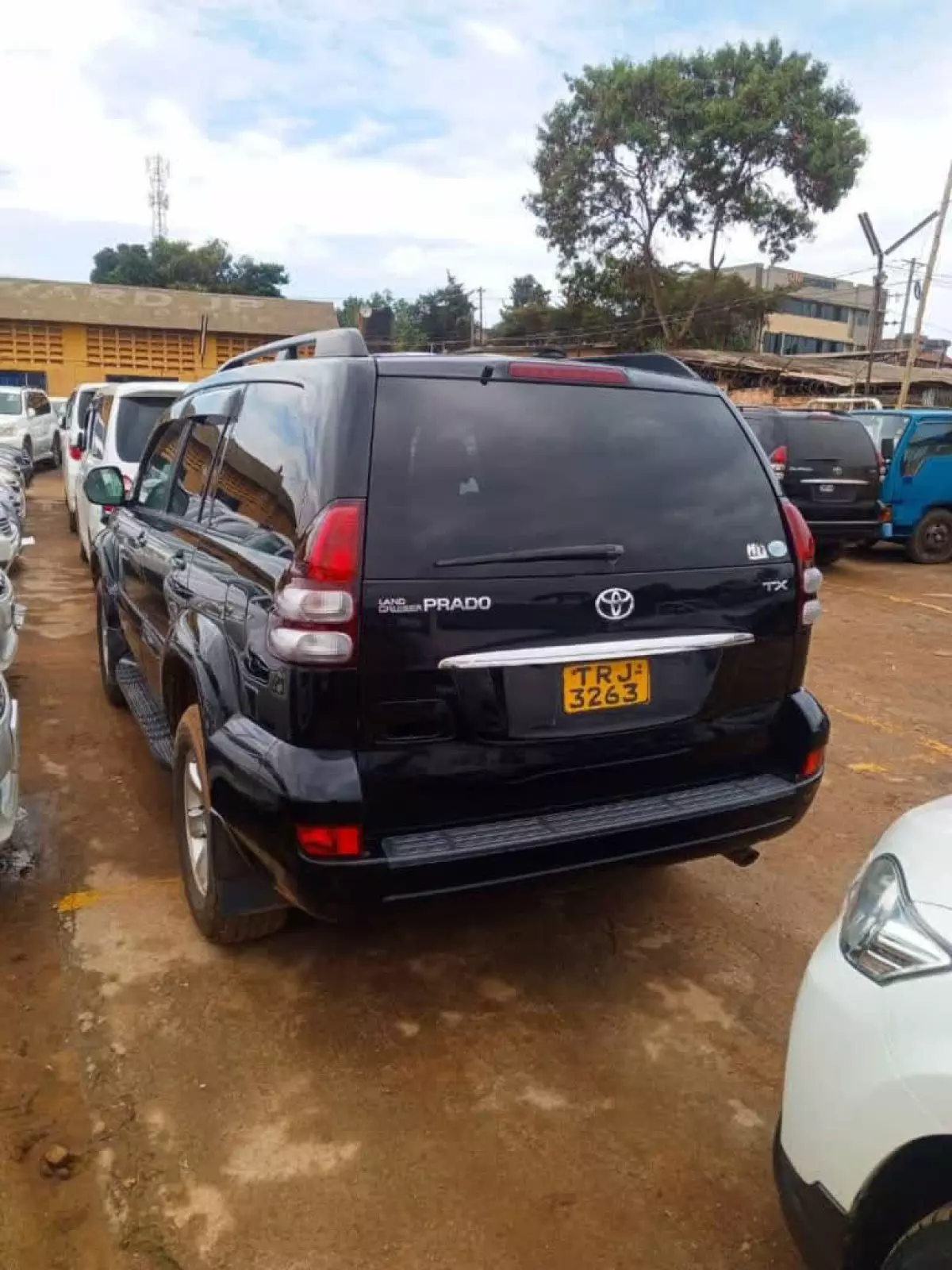 car Back