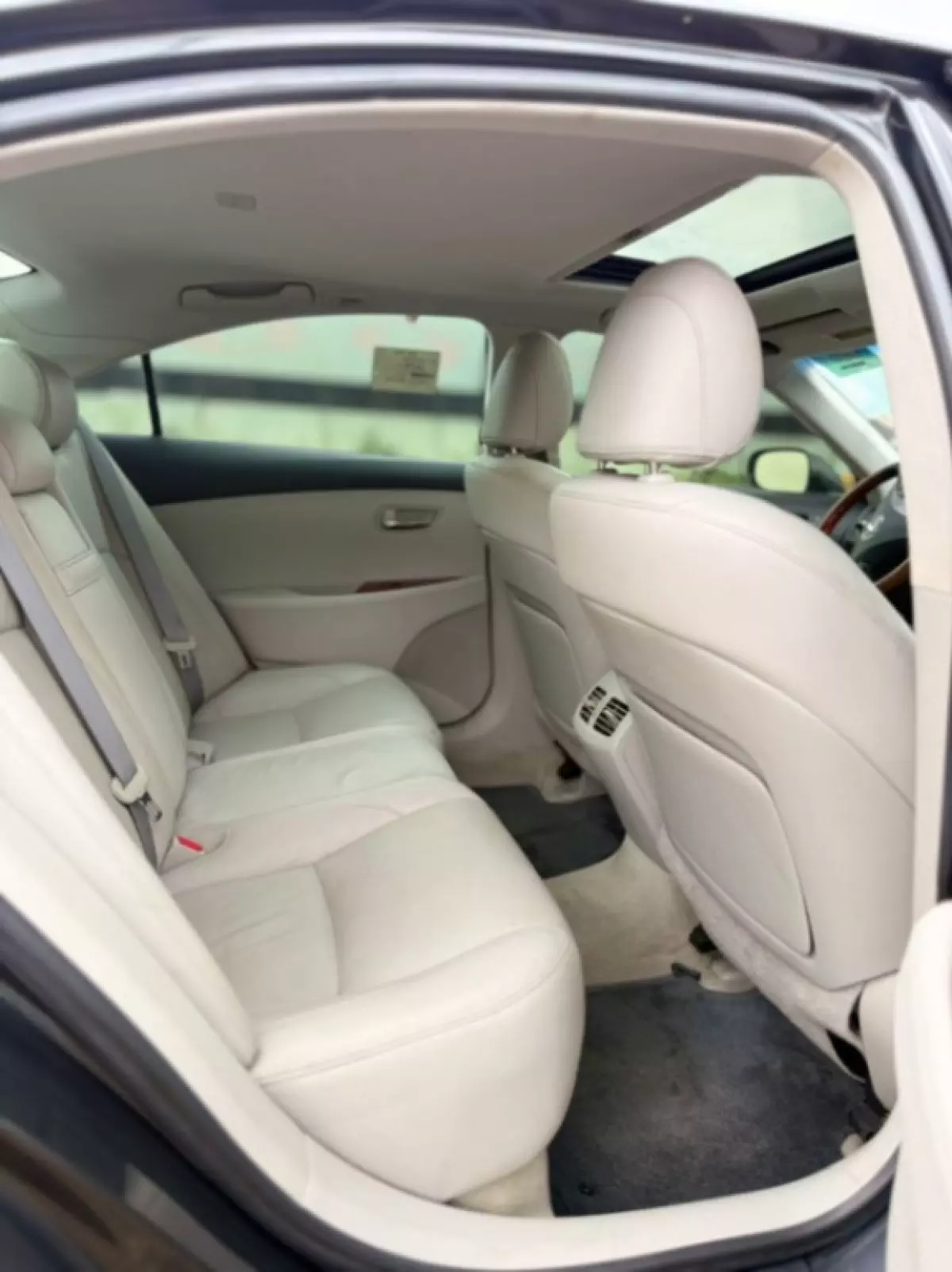interiorBack