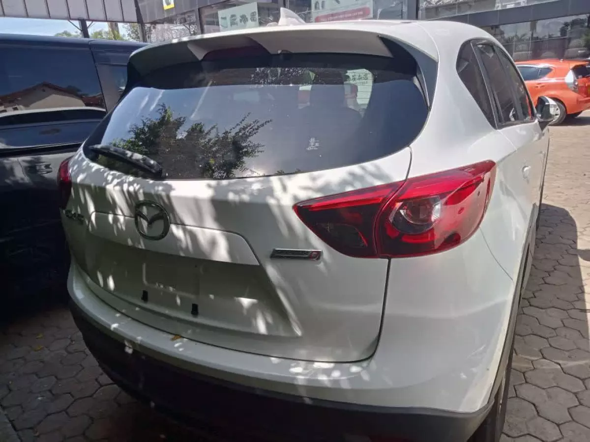 car Left Back