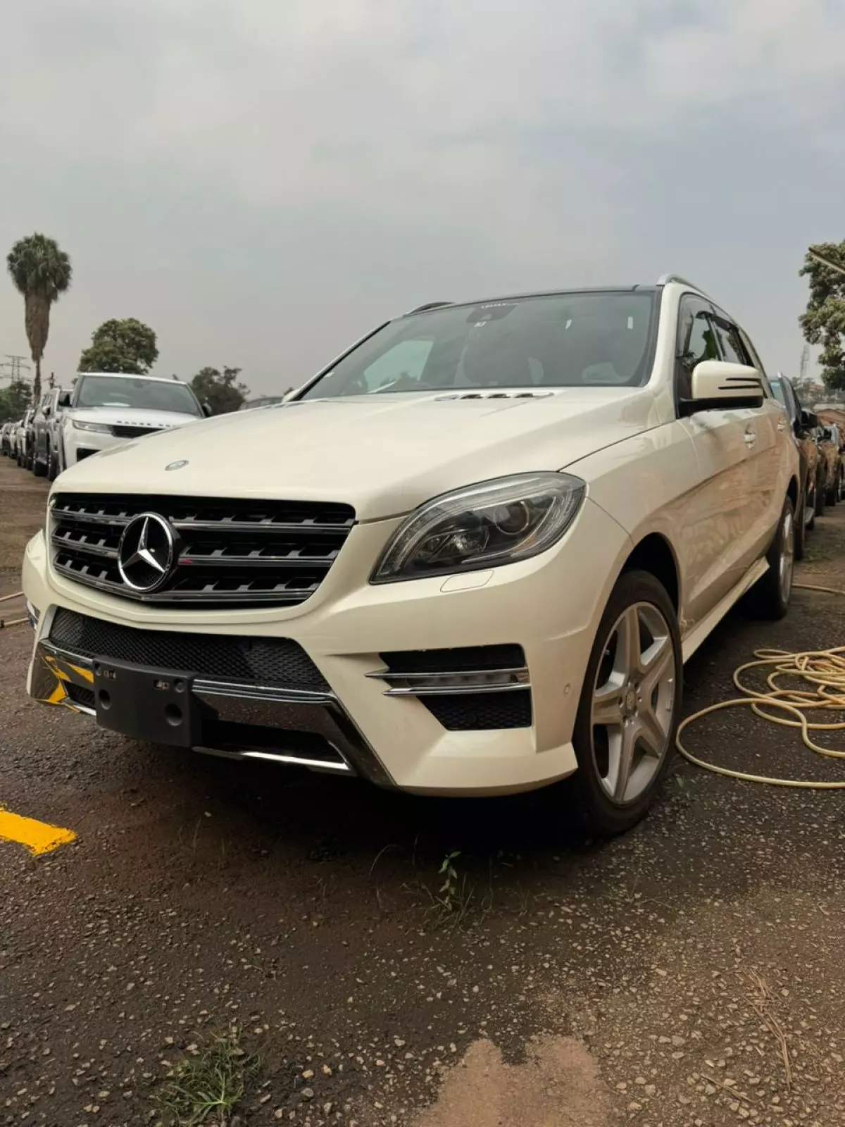 car Left Back