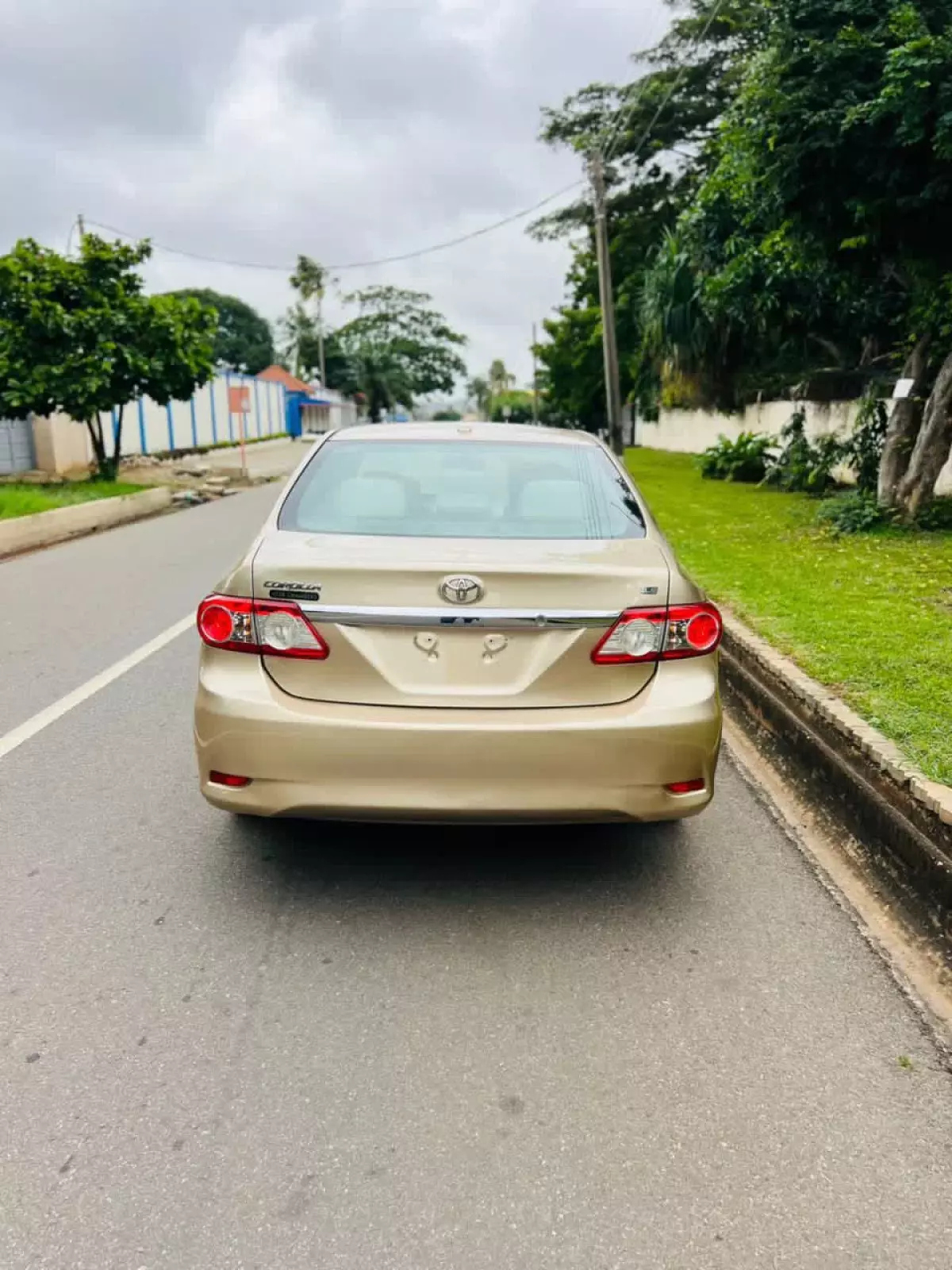 car Back