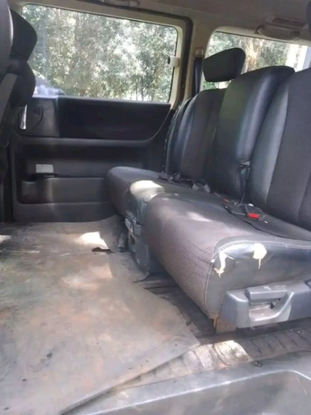 interiorBack