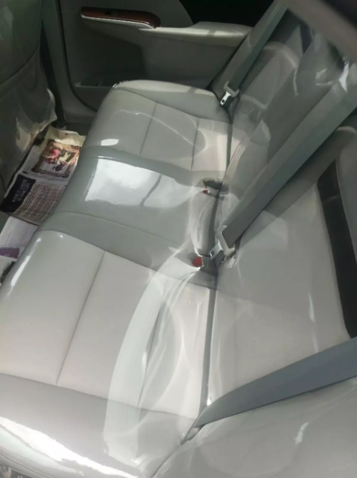 interiorBack