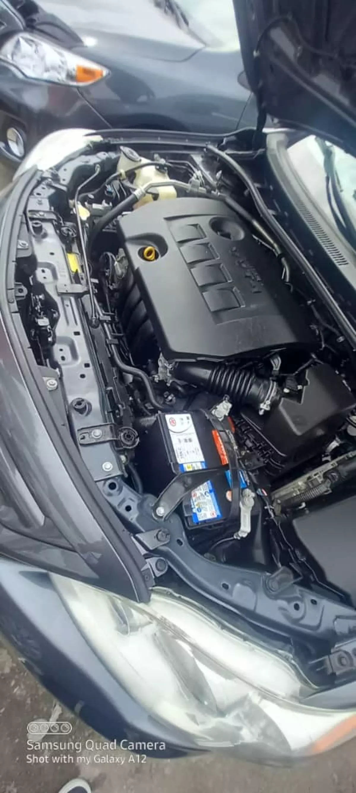 engineView