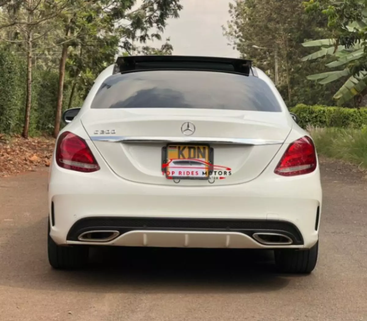 back