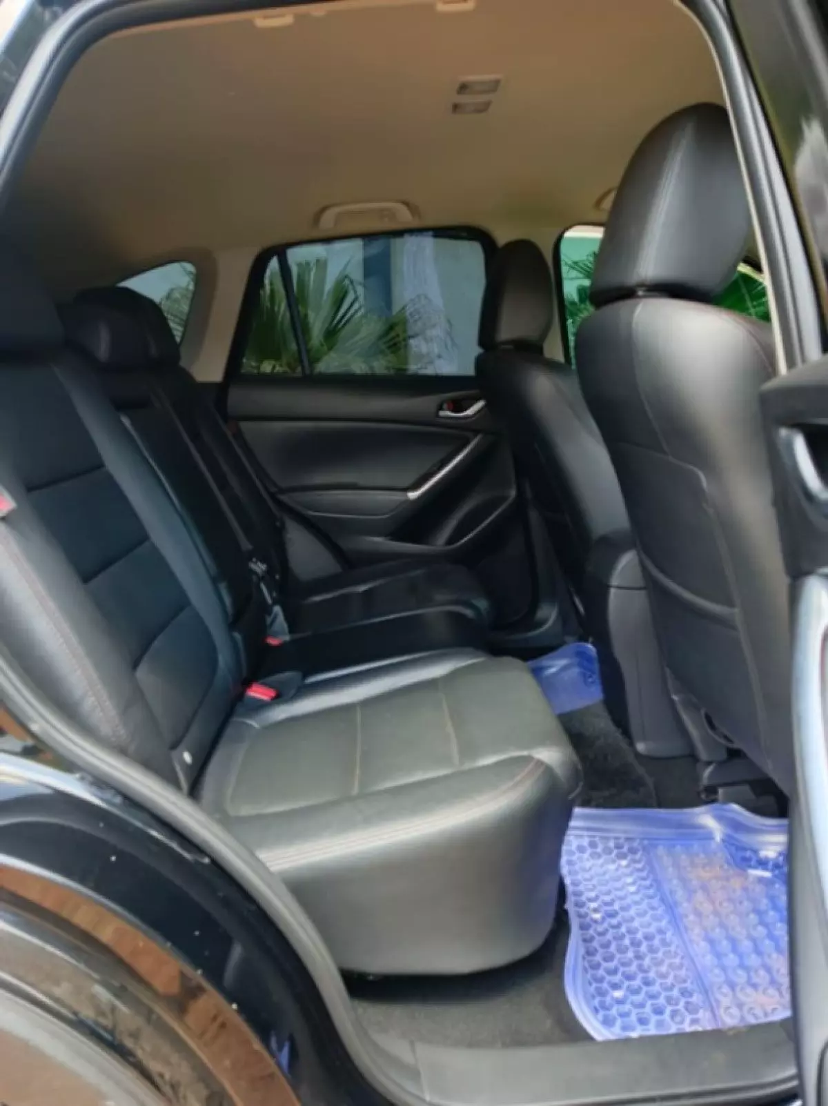 interiorBack