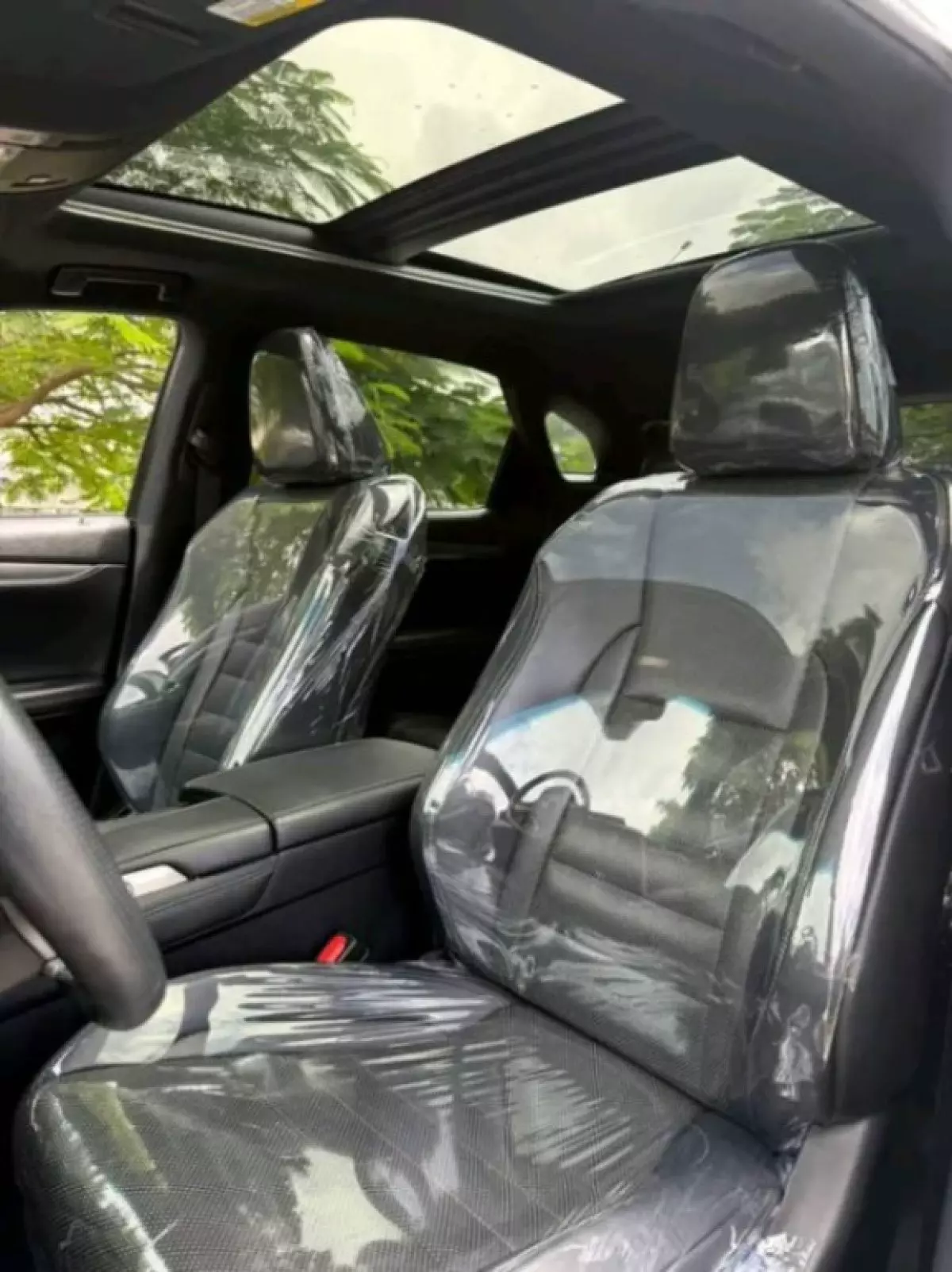 interiorBack
