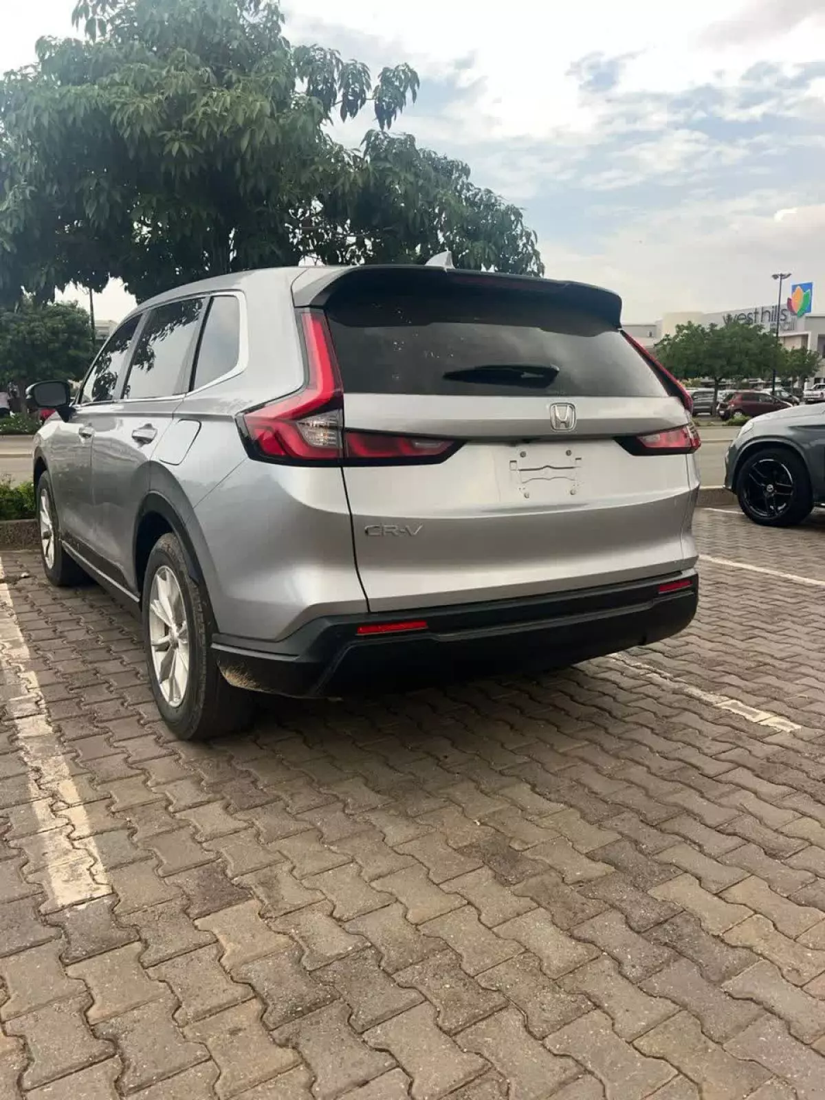car Back