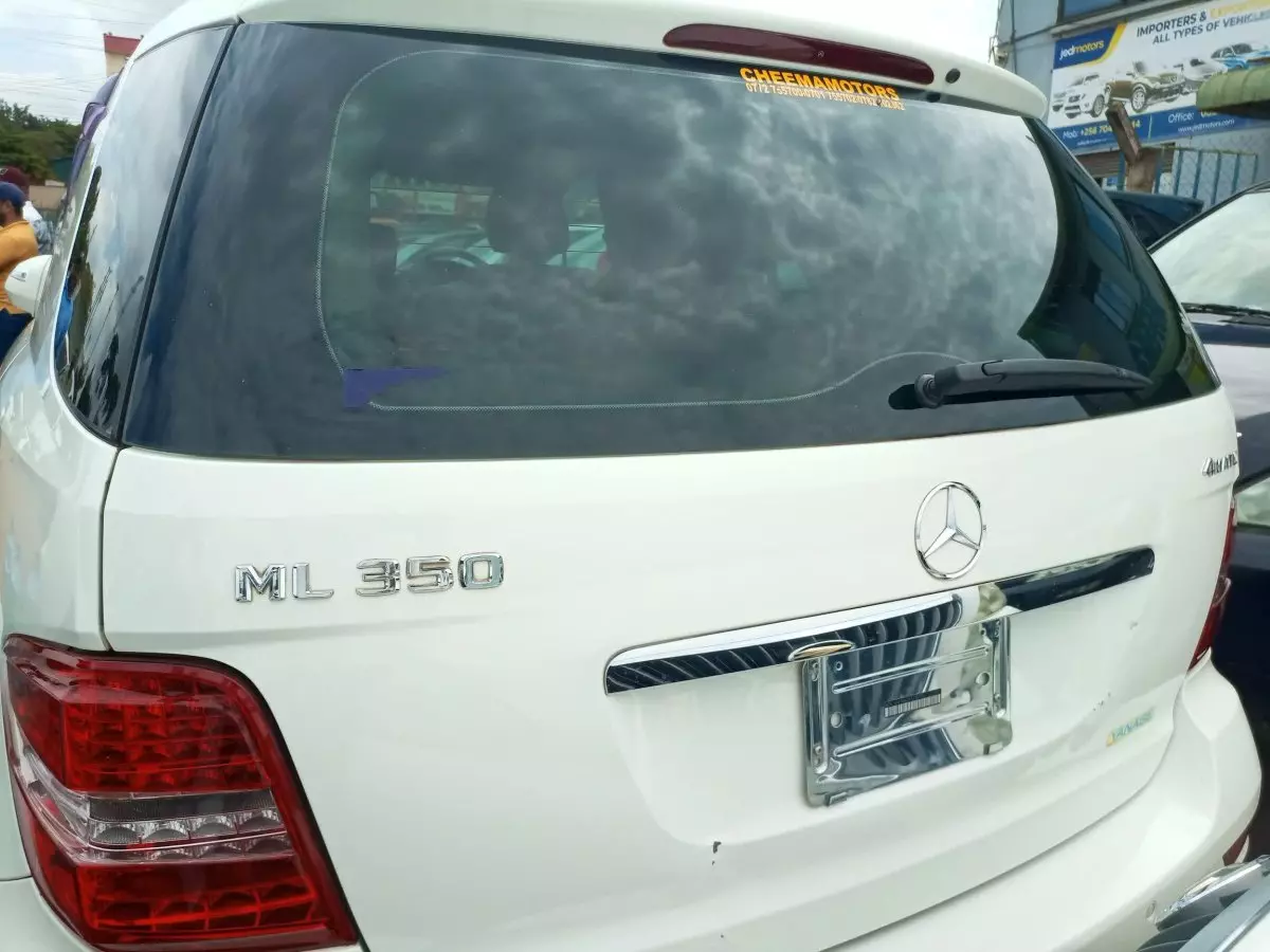 car Back