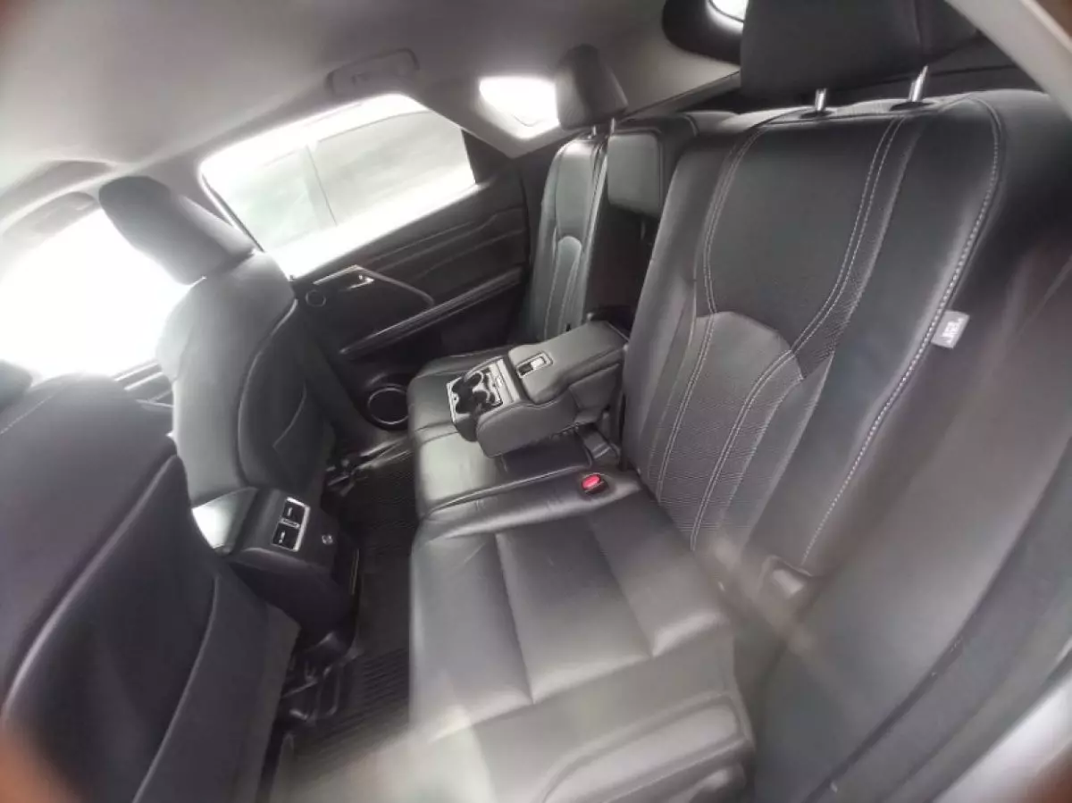 interiorBack