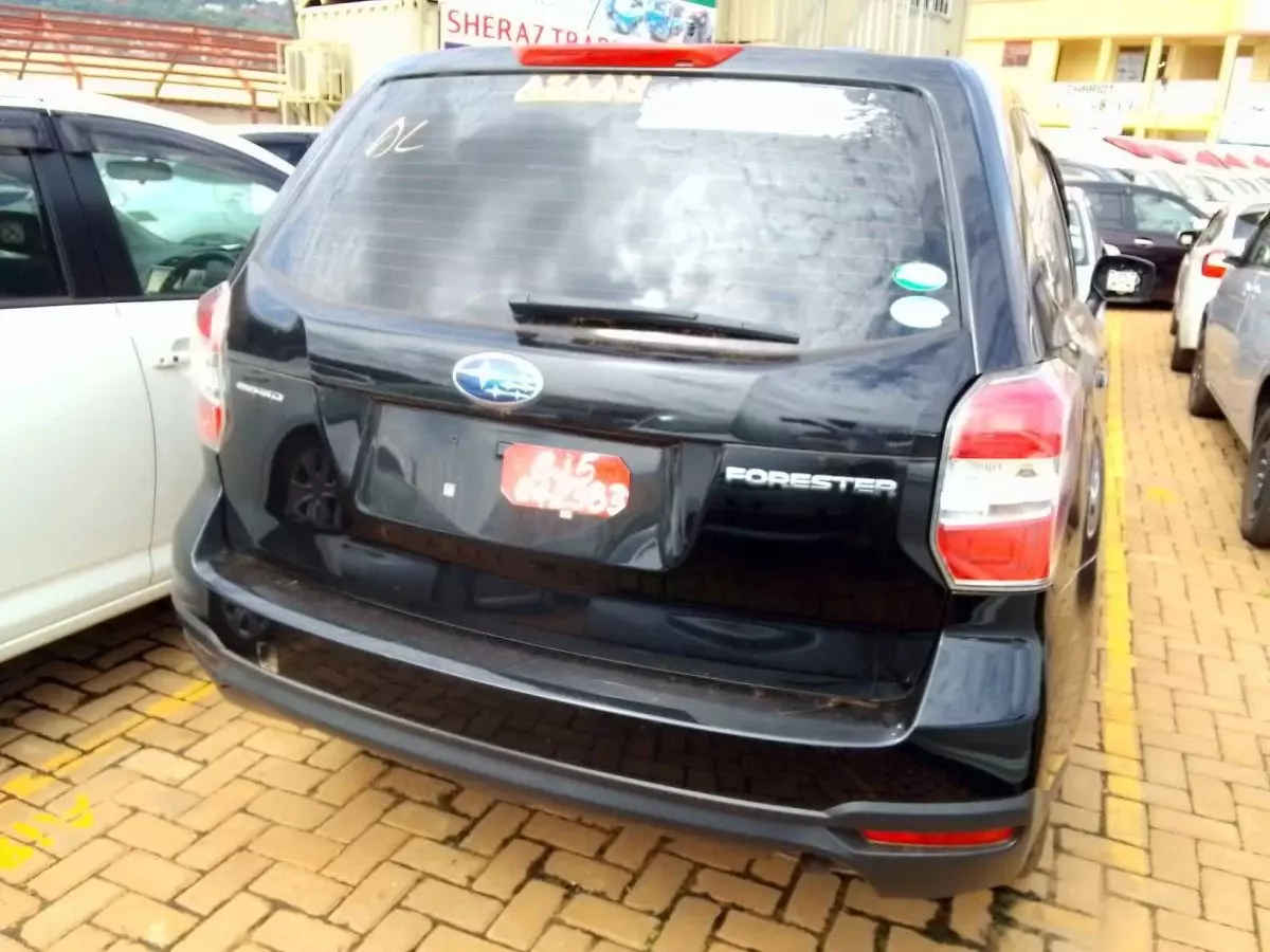 car Back