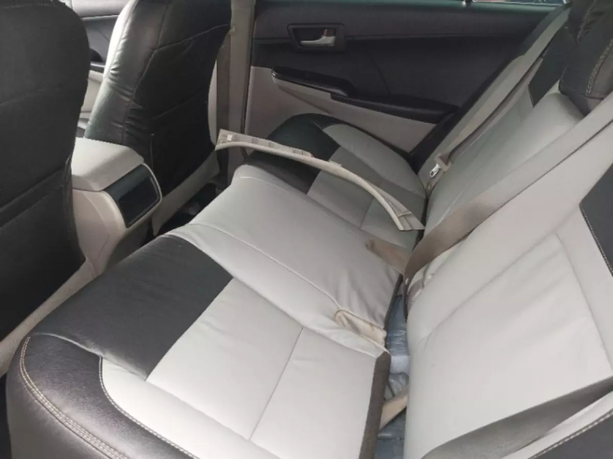 interiorBack