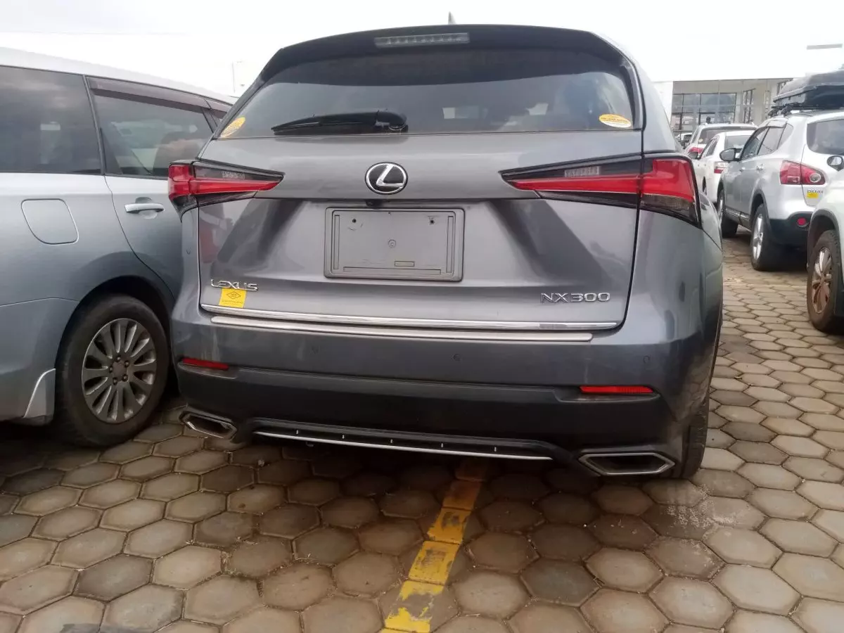 car Back