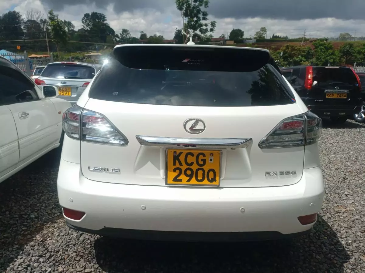 car Back