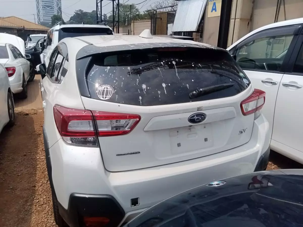 car Back