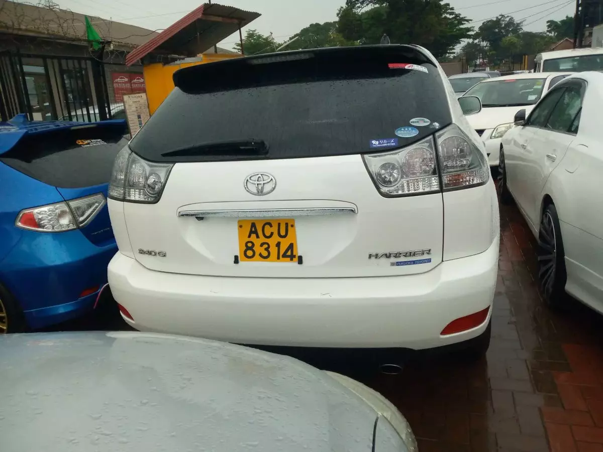 car Back
