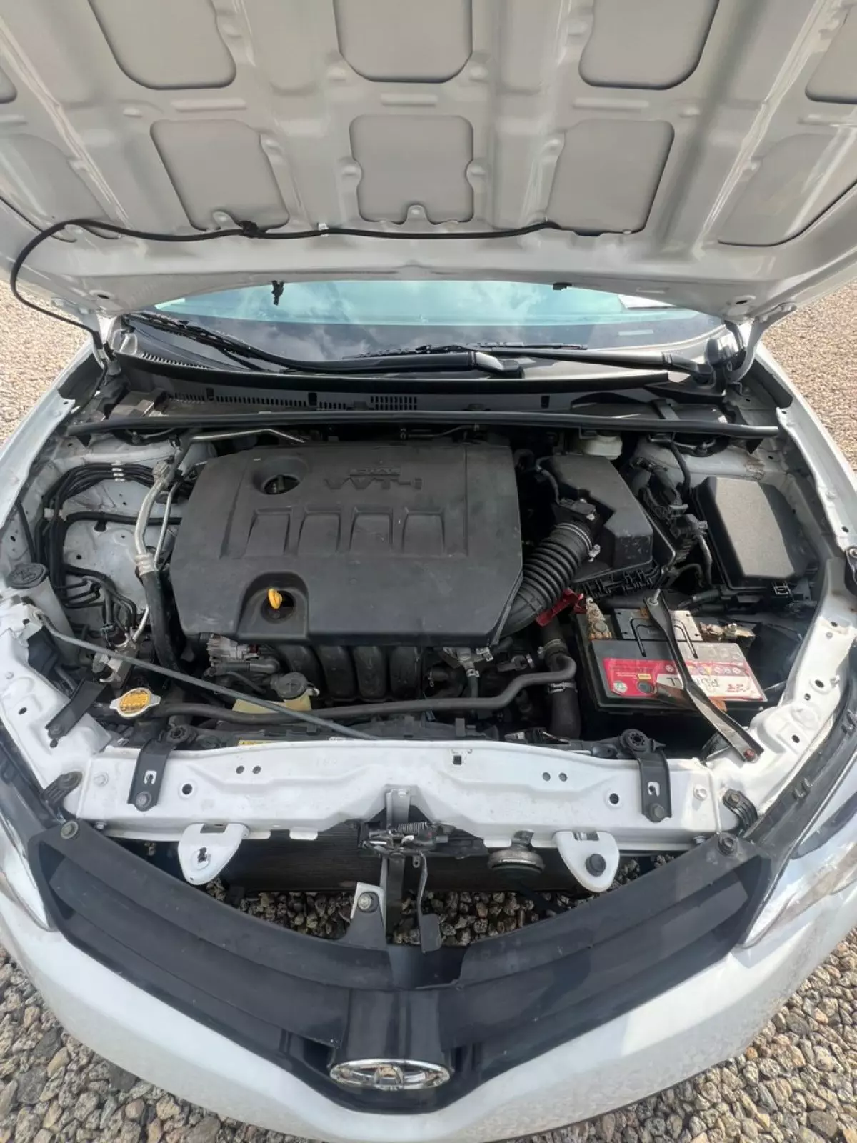 bonnet