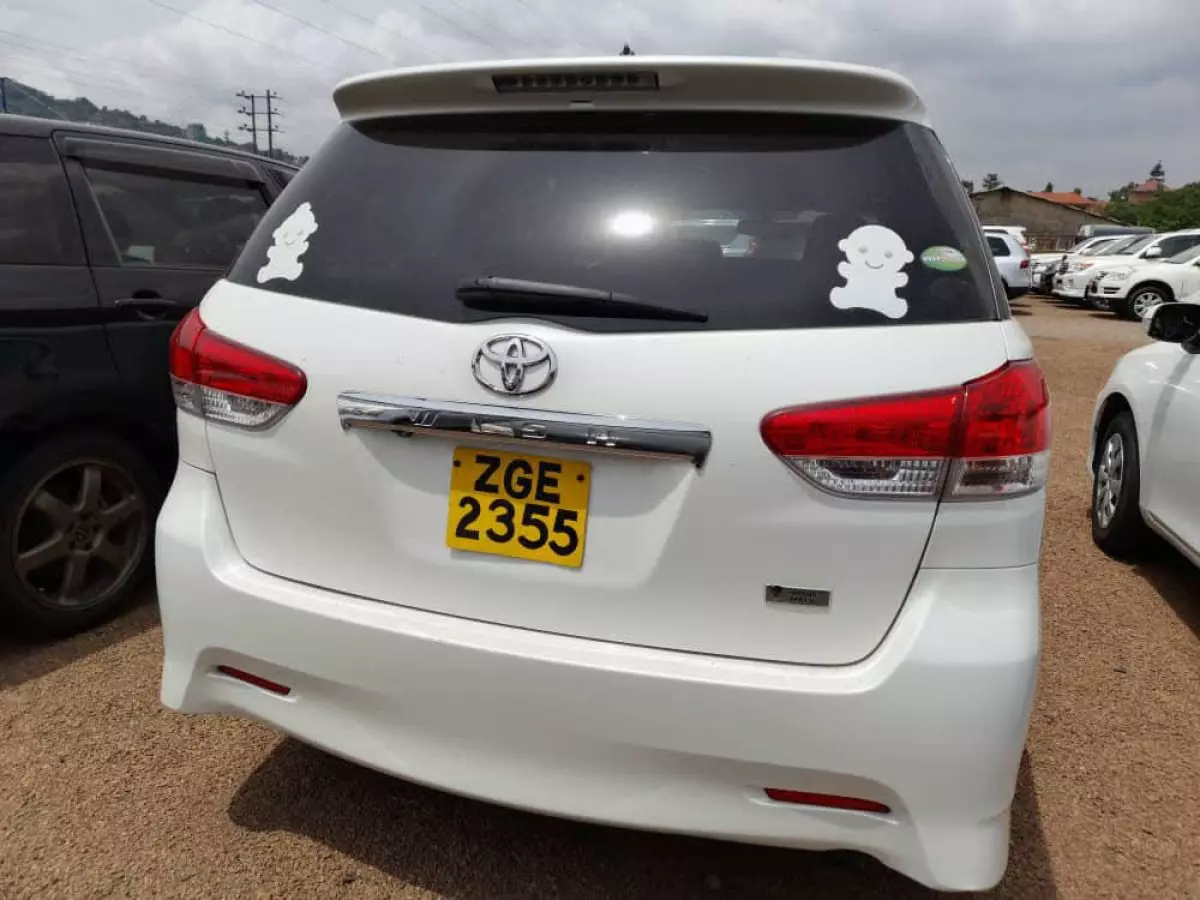 car Back