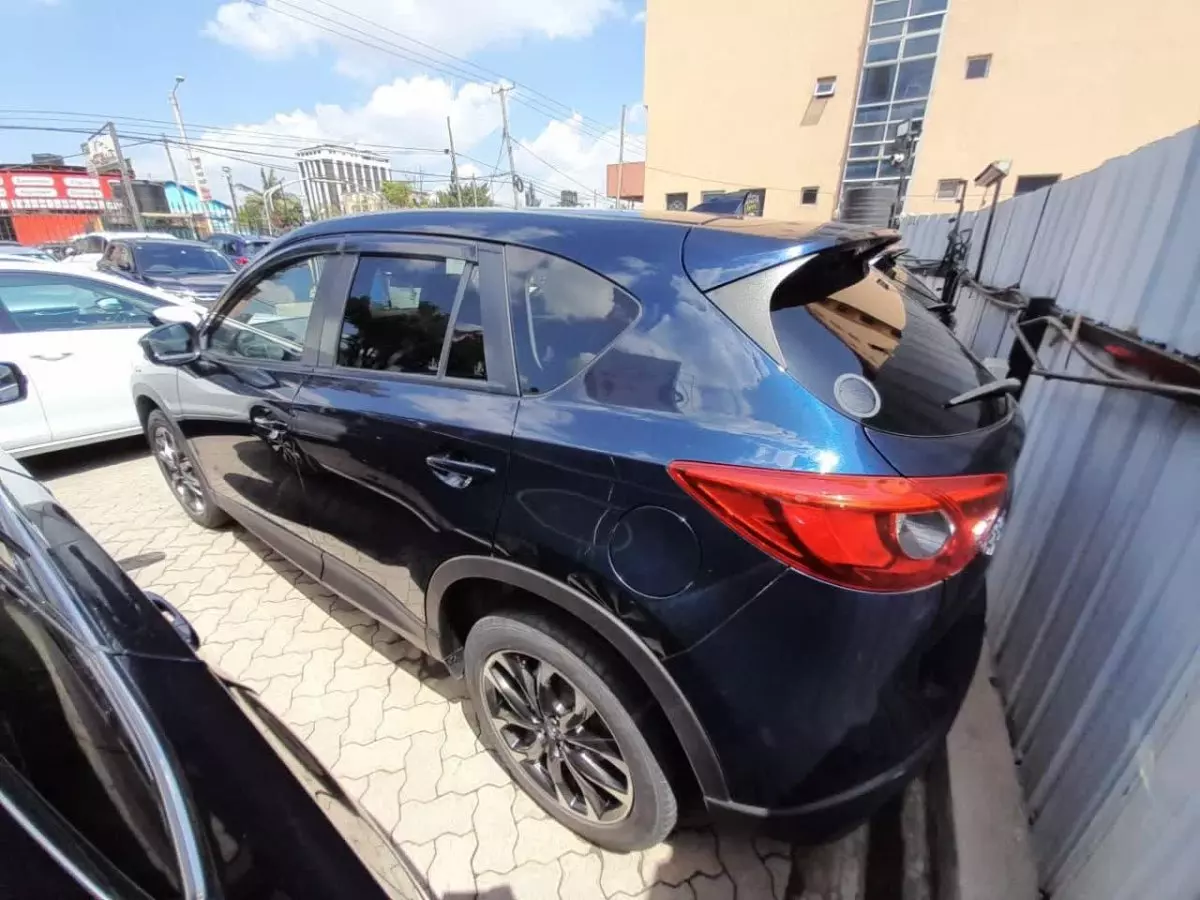 car Back