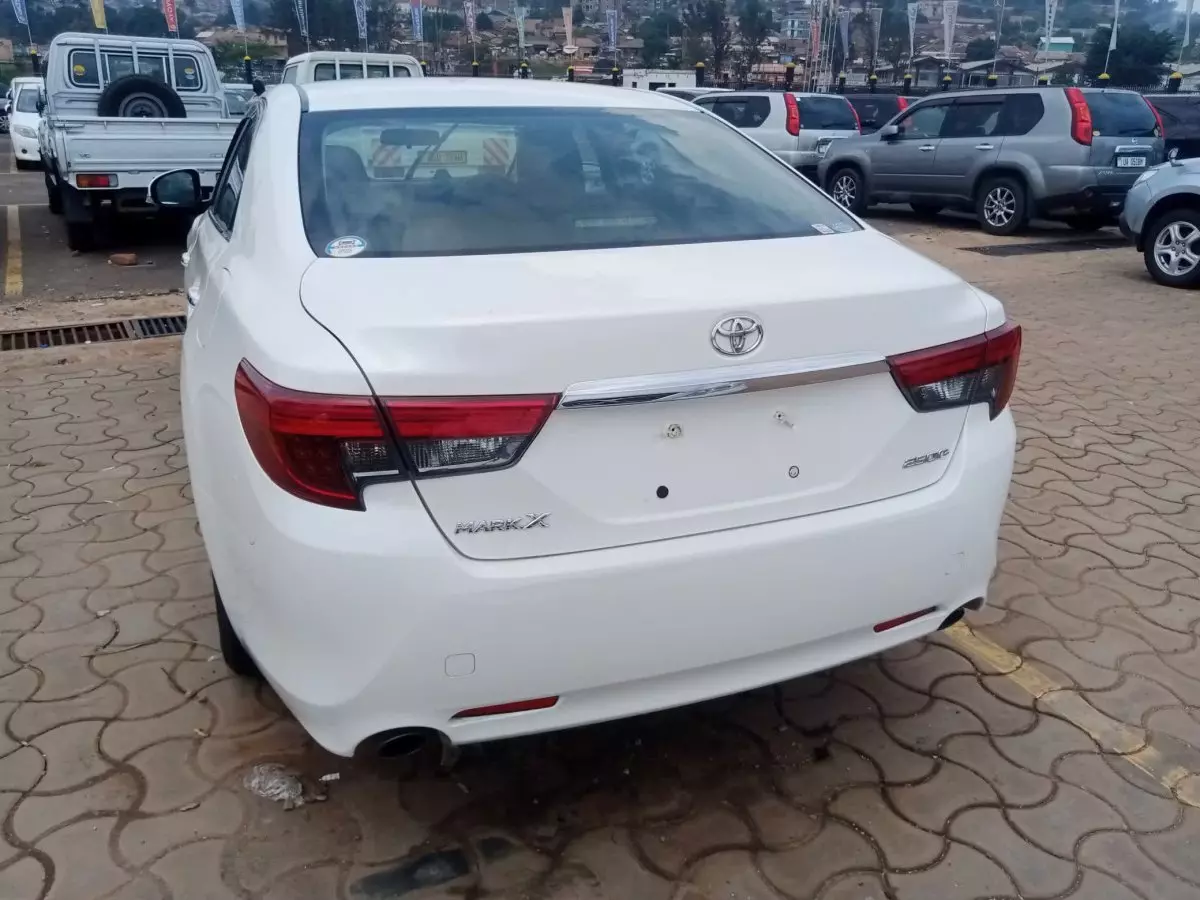 car Back