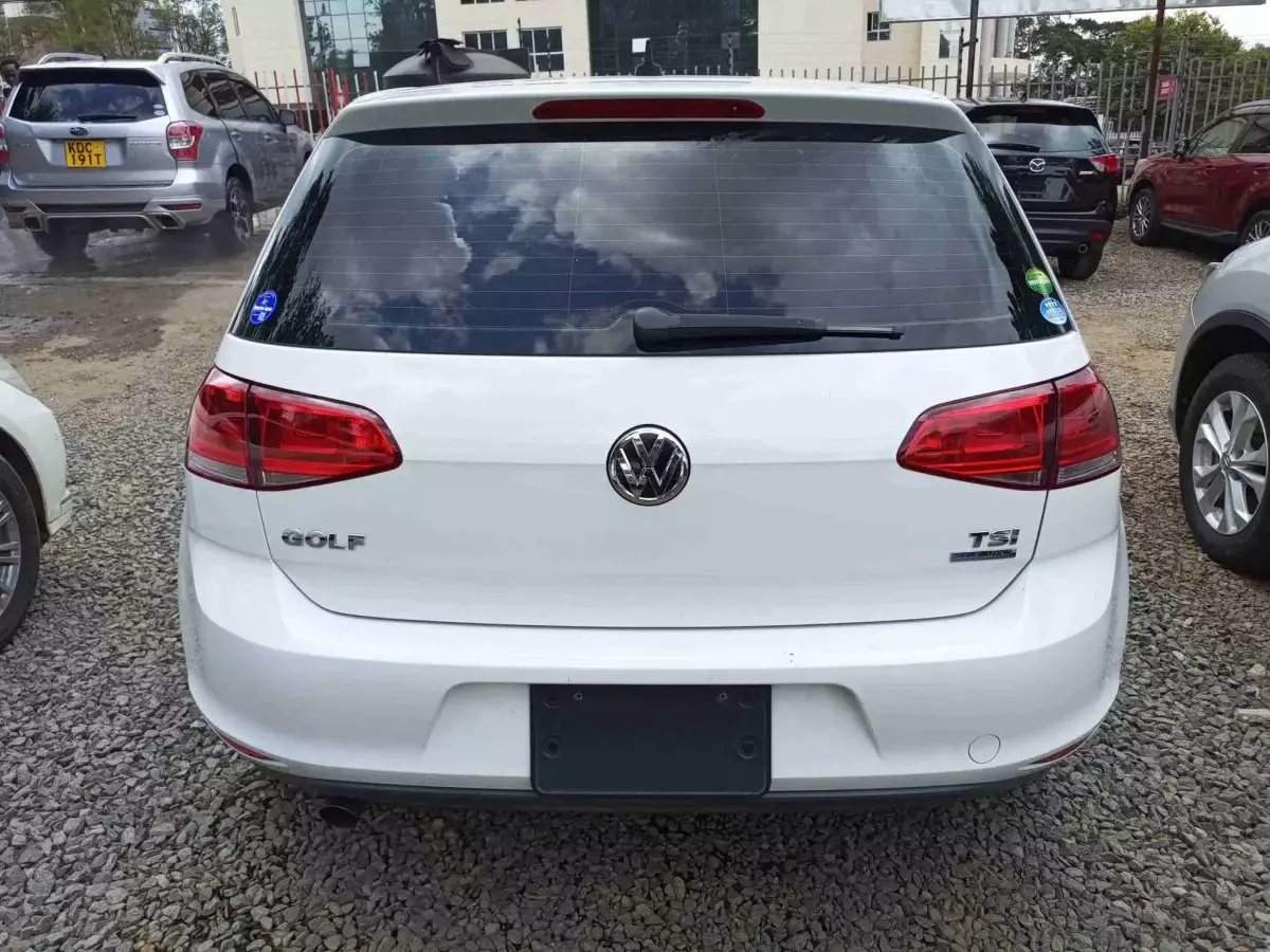Car Back