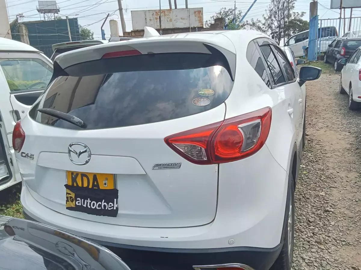 car Back