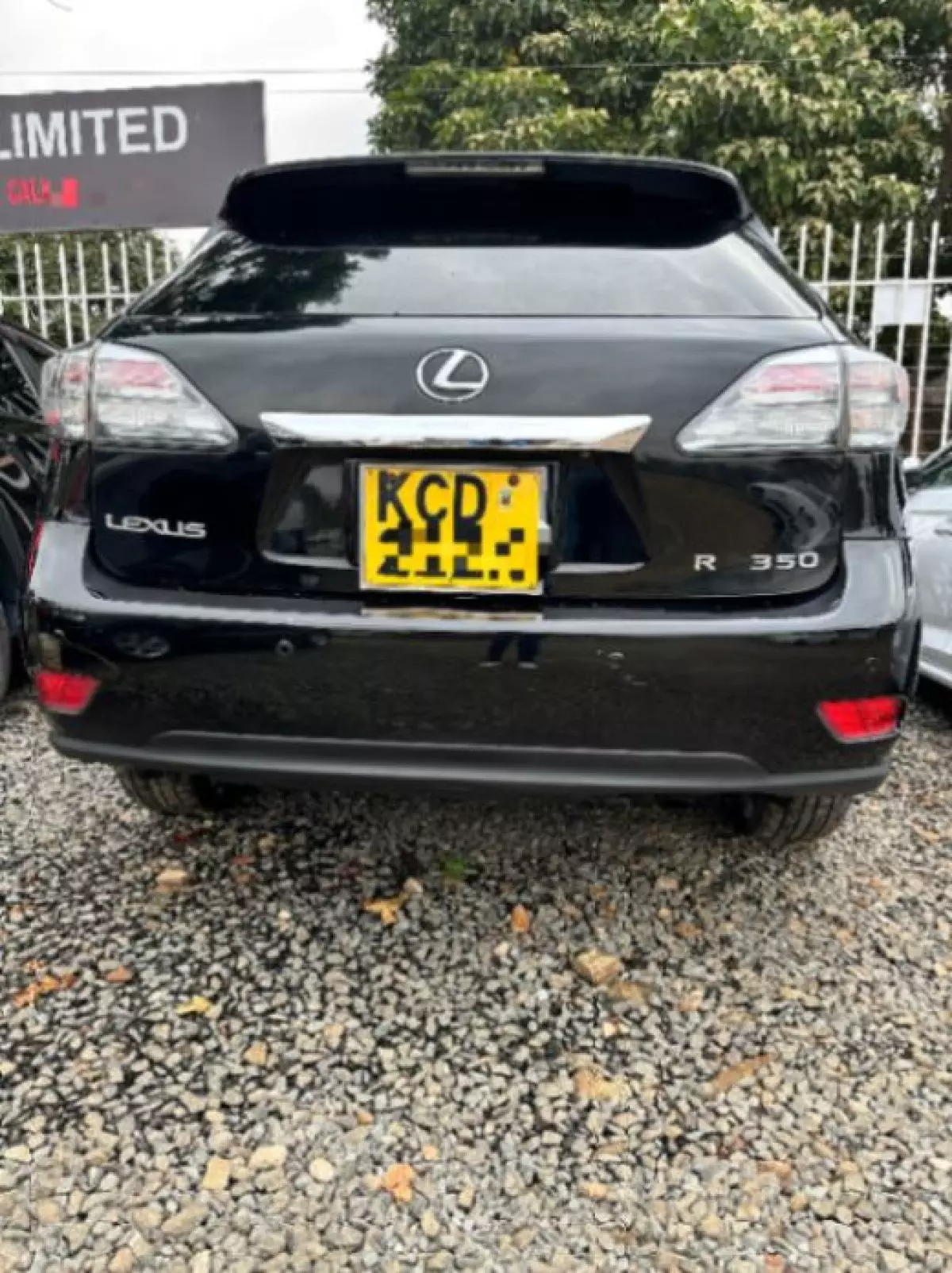 back