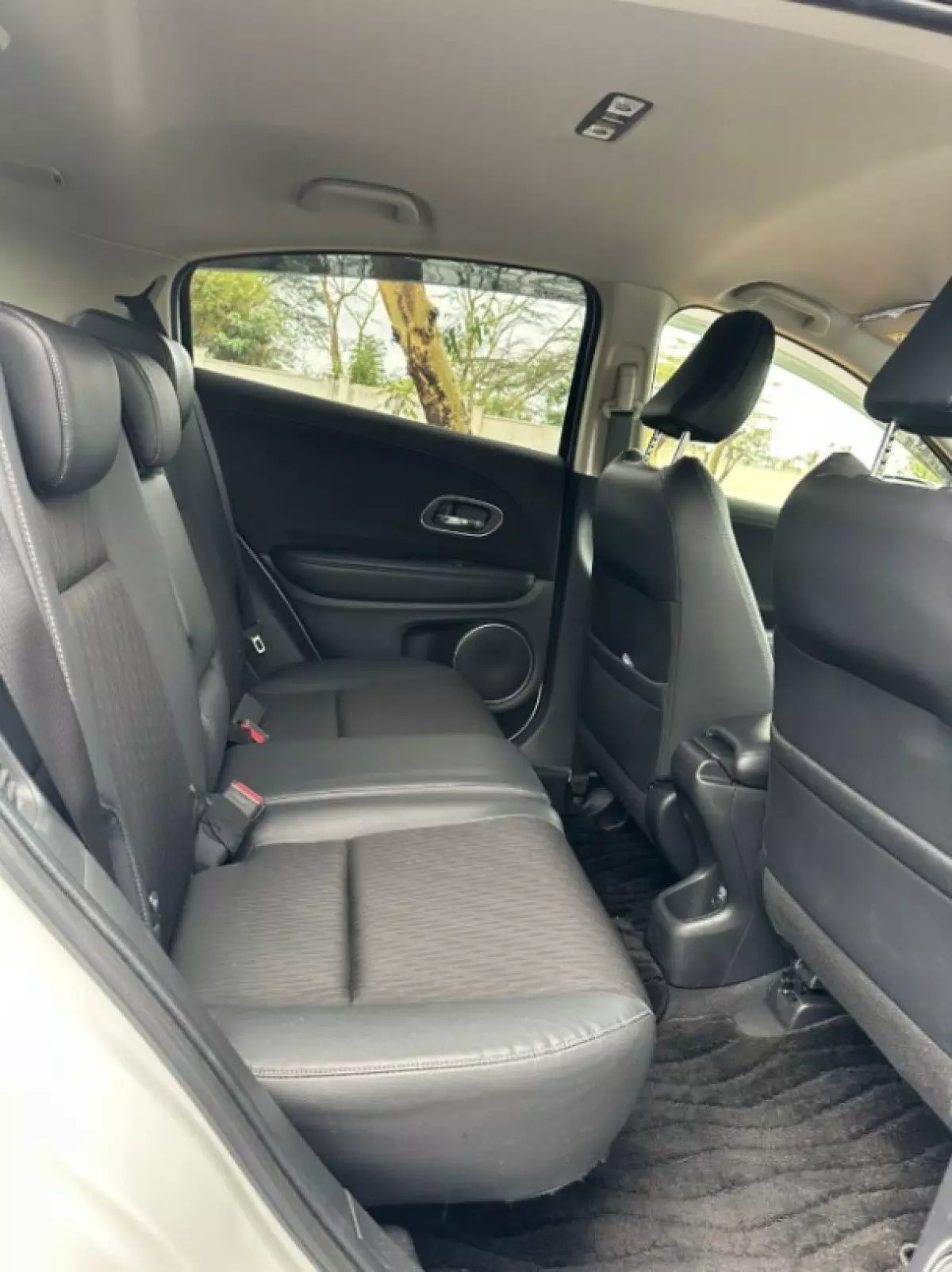 interiorBack