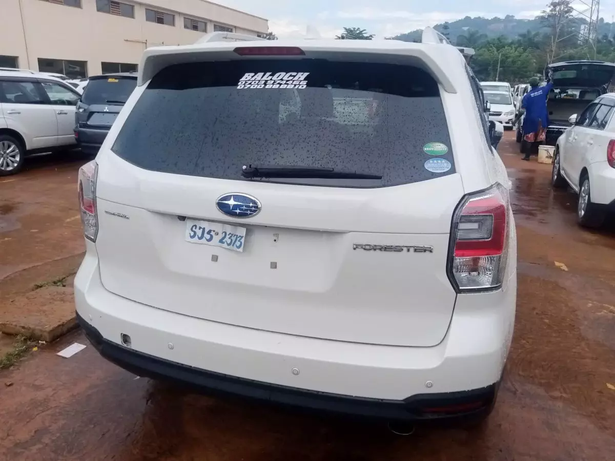 car Back