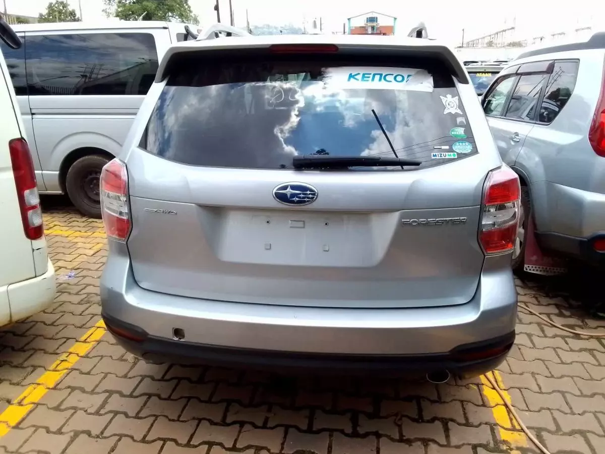 car Back