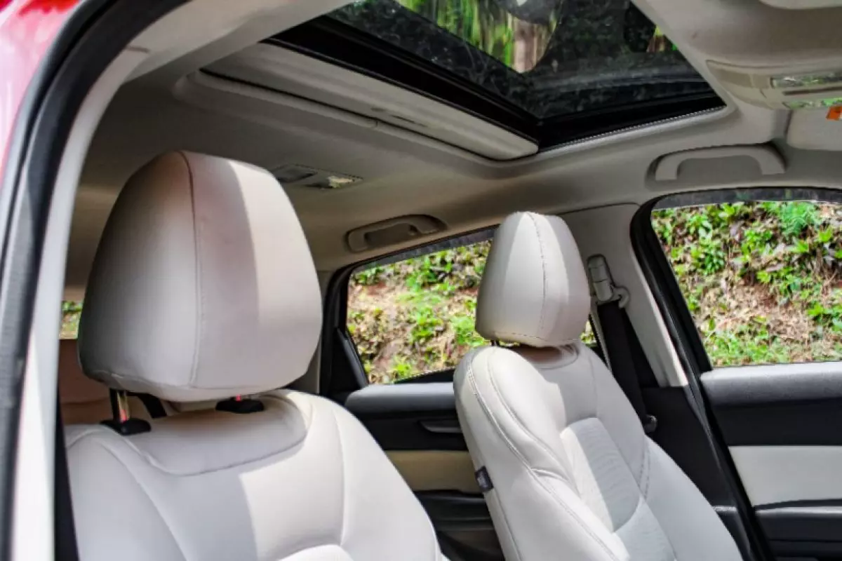 interiorBack