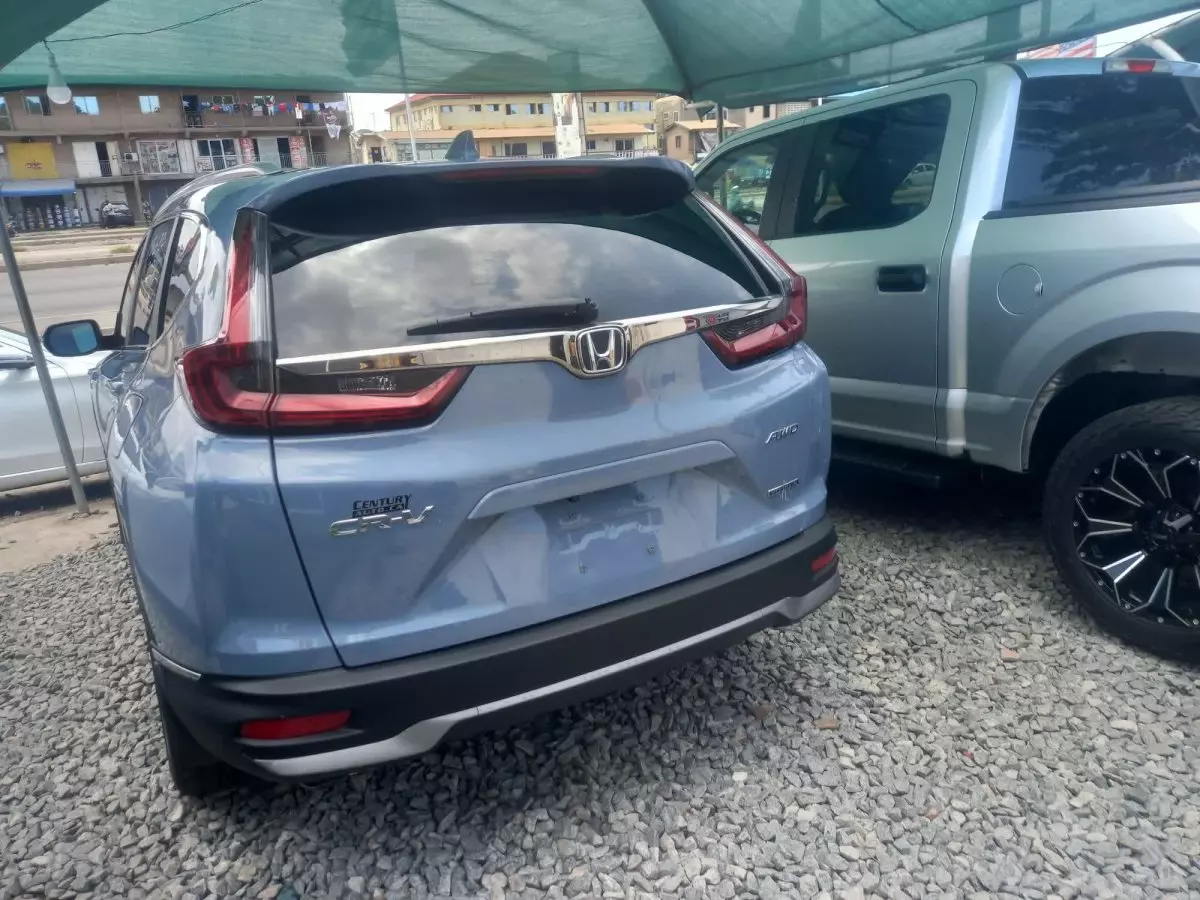 car Back