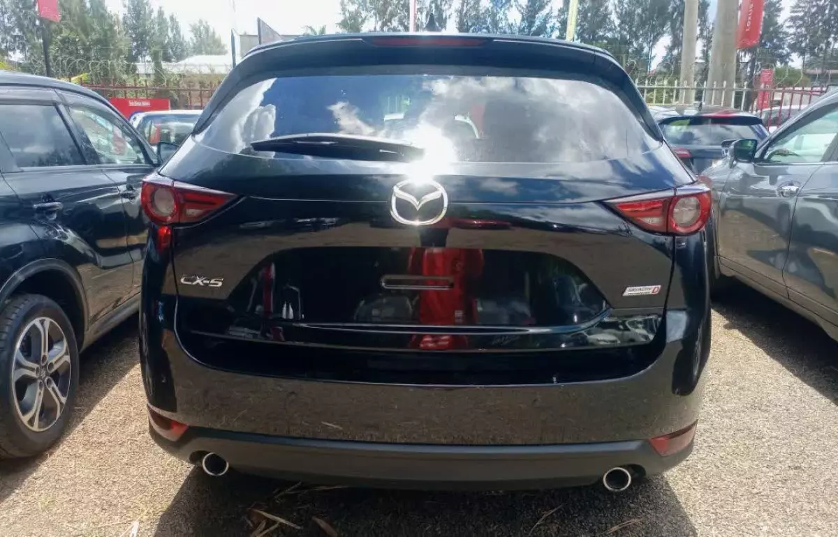 car Back