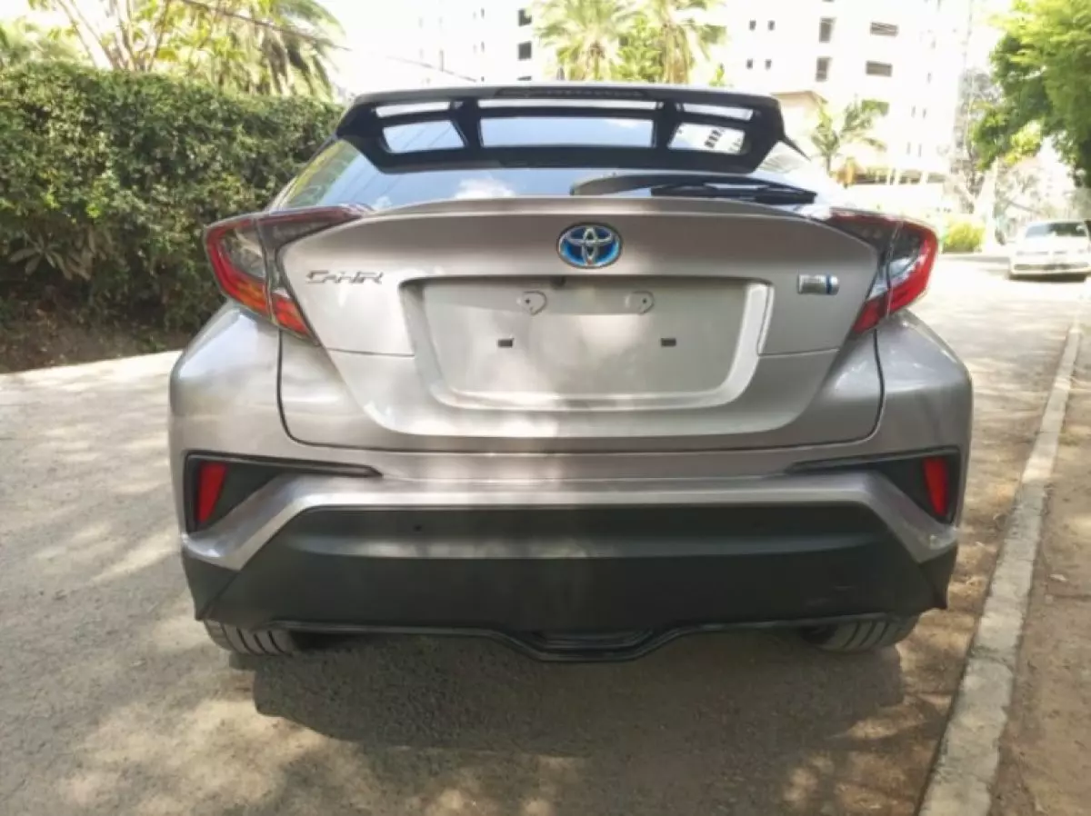 back