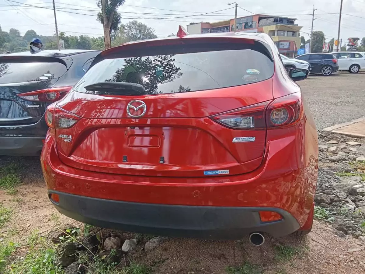 car Back