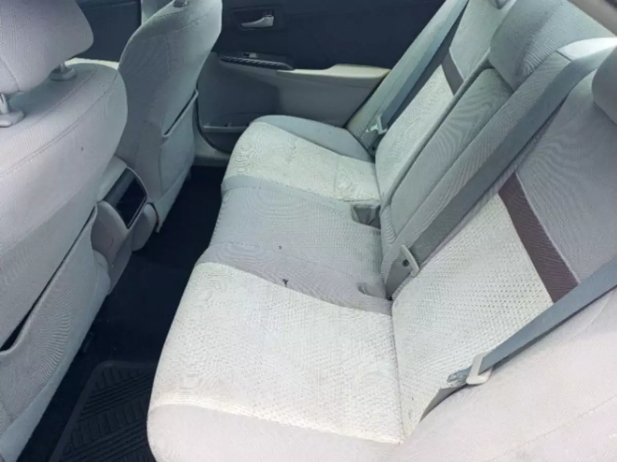 interiorBack