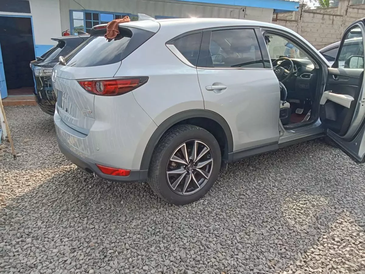 car Left Back