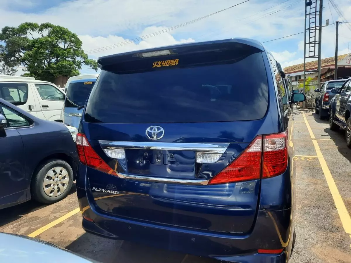 car Back