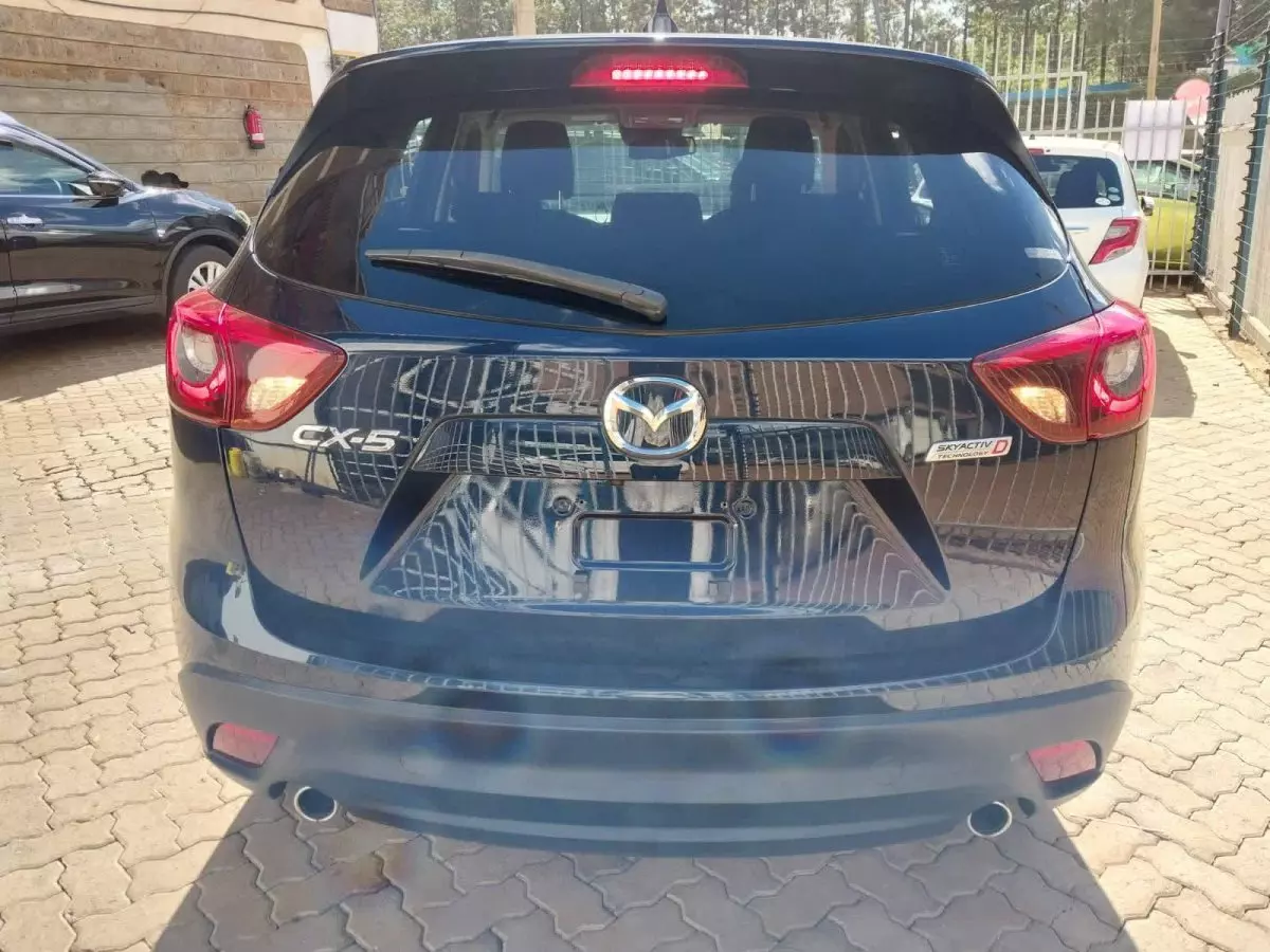 car Back