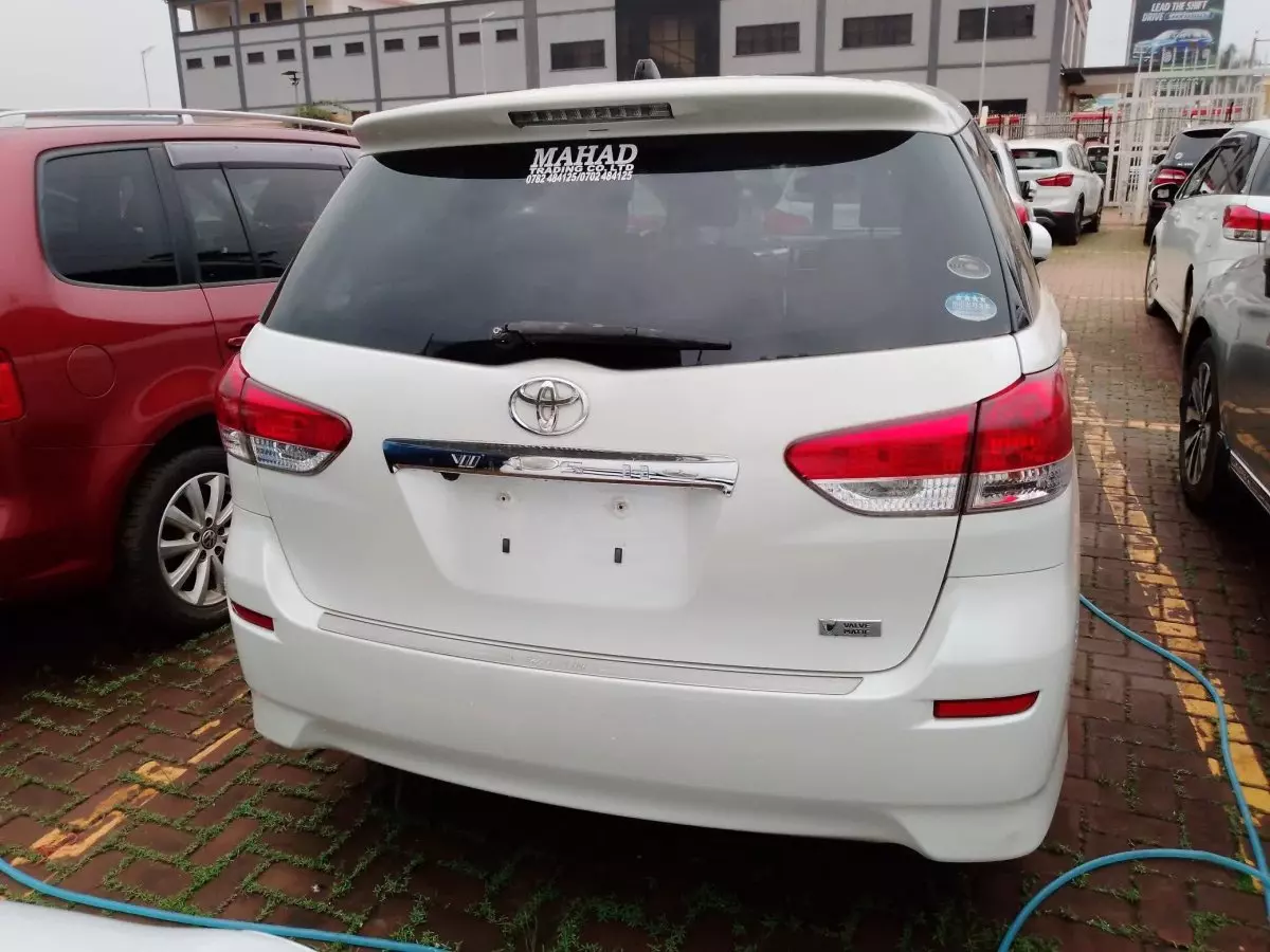 car Back