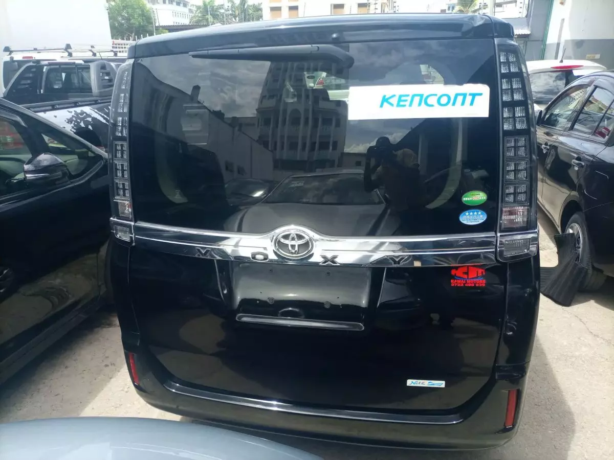 car Back