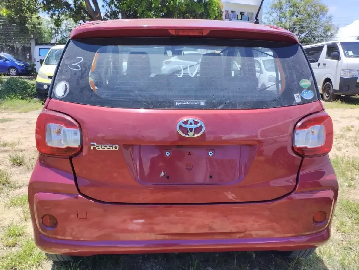 car Back