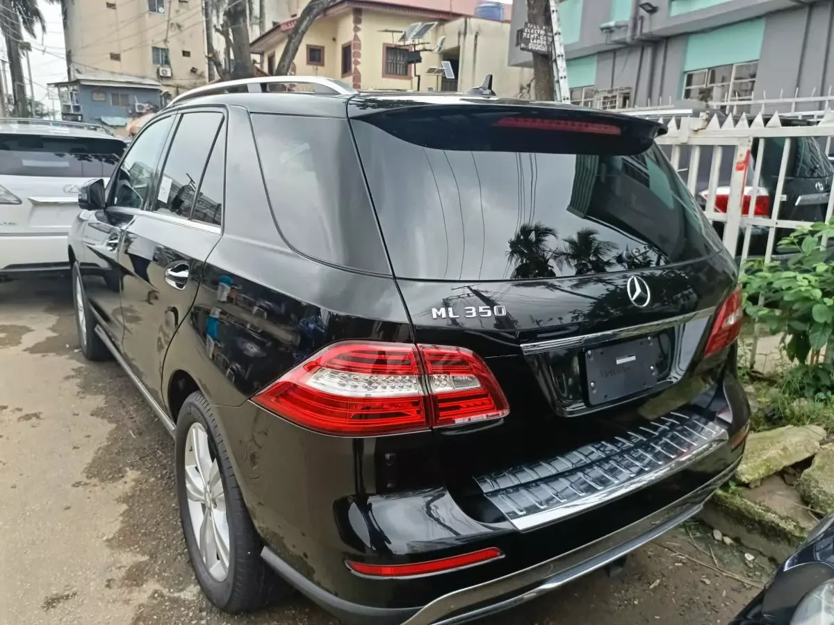 car Back