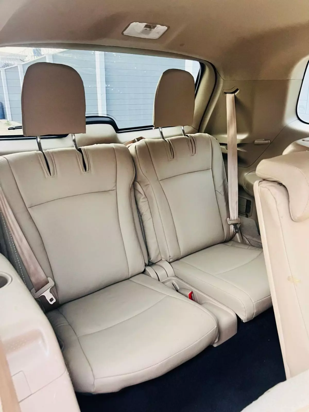backSeatbelt