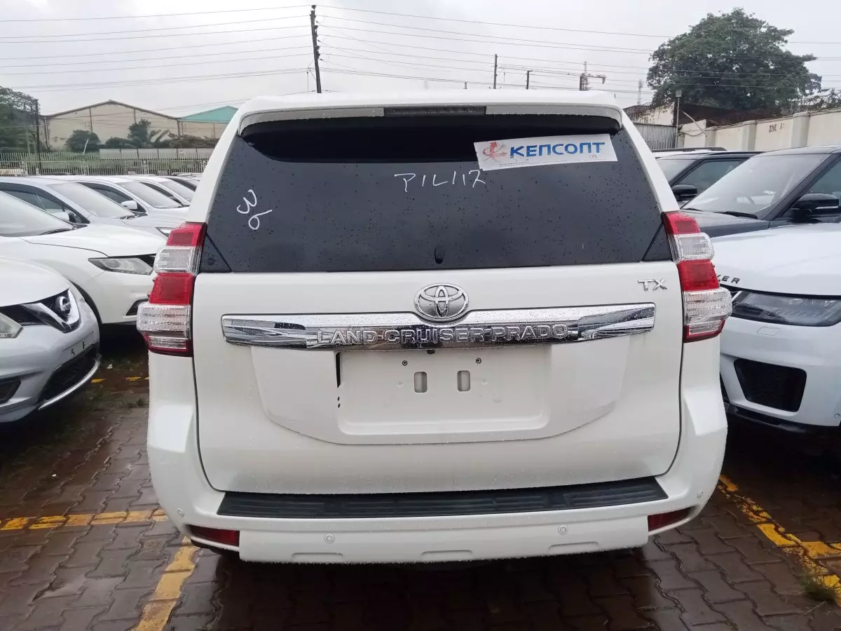car Back