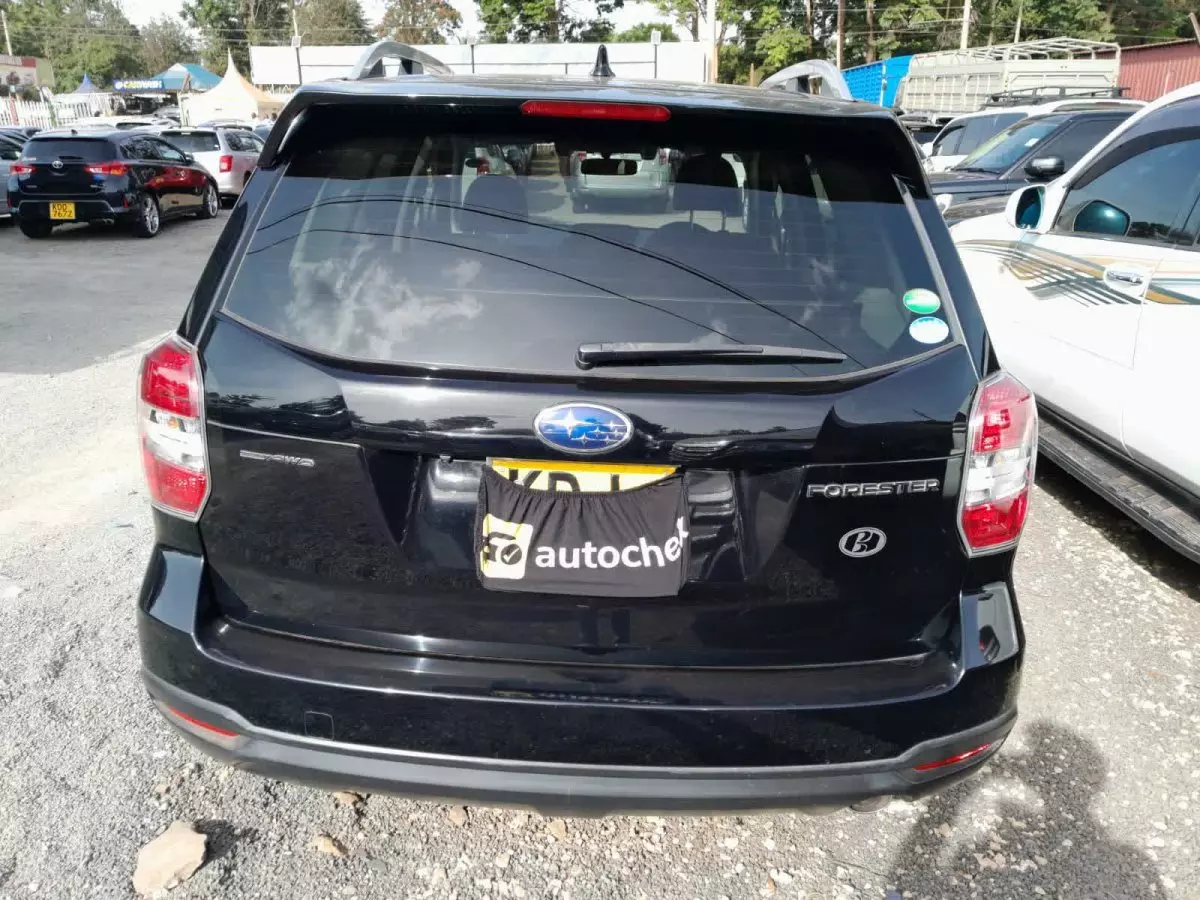 car Back