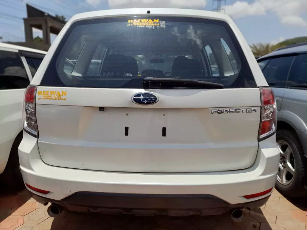 car Back
