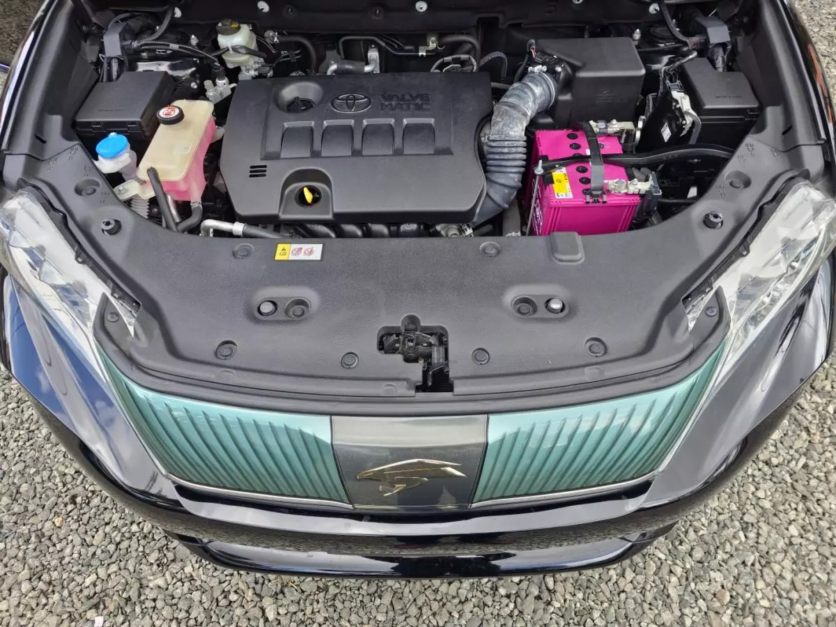 bonnet