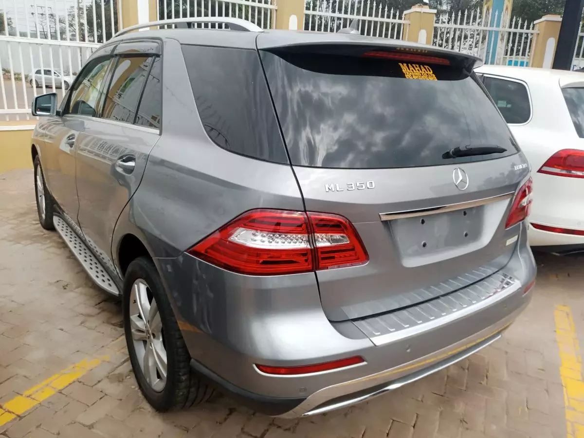car Left Back