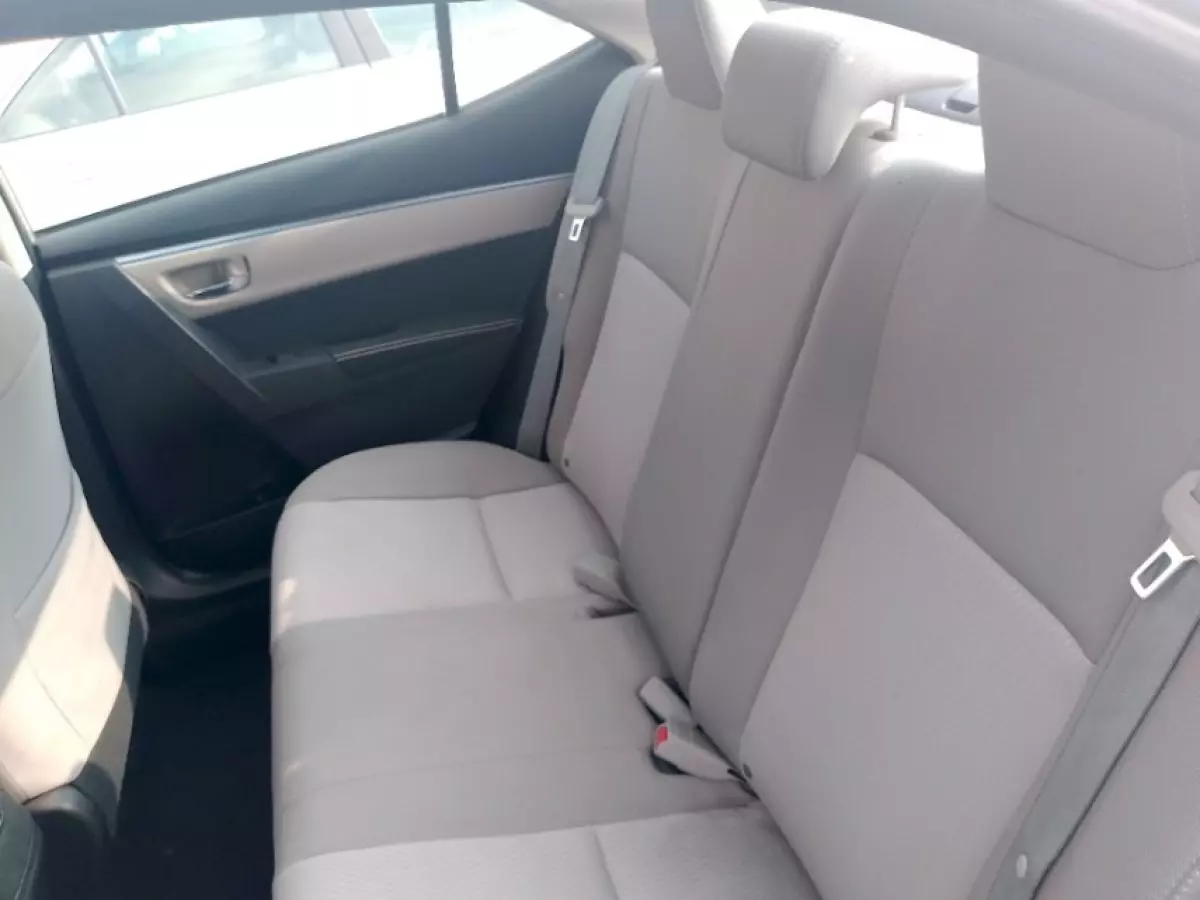 interiorBack